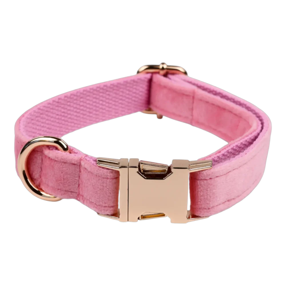Dog Collar – Velvet - Pink