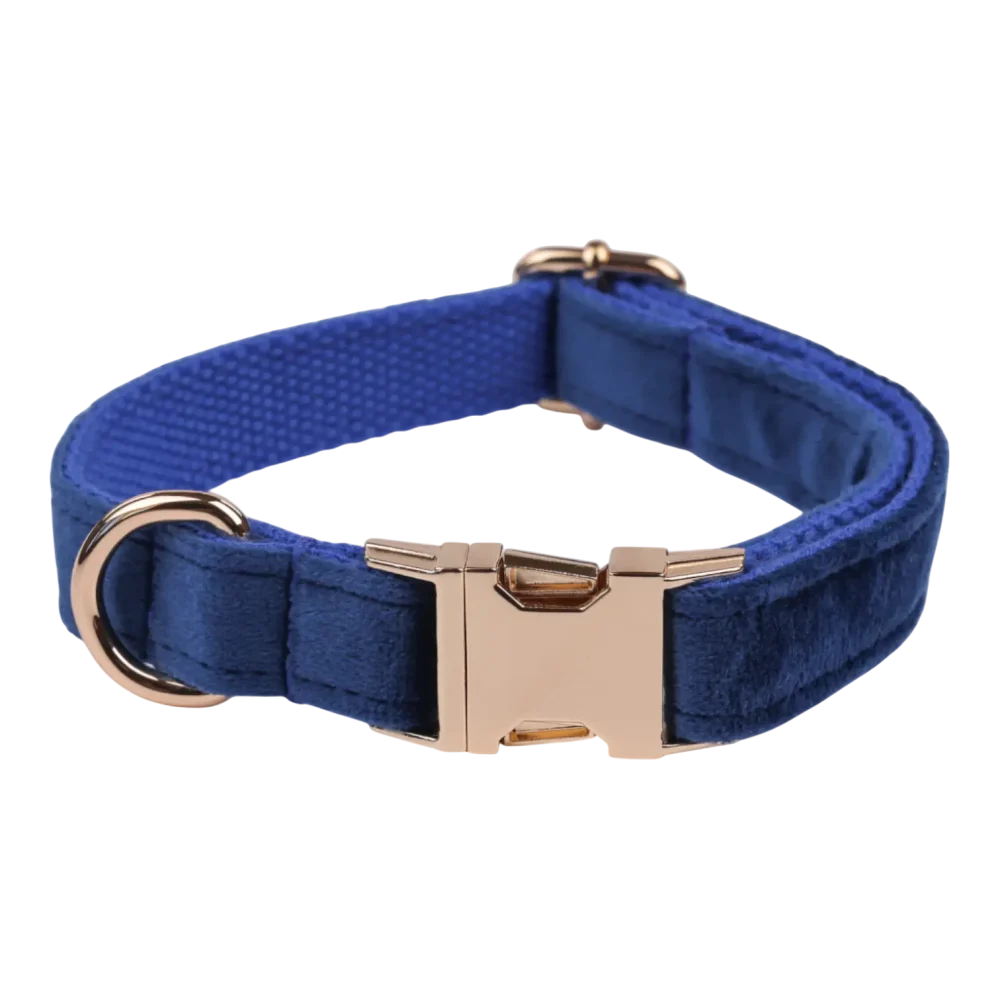 Dog Collar – Velvet - Royal Blue