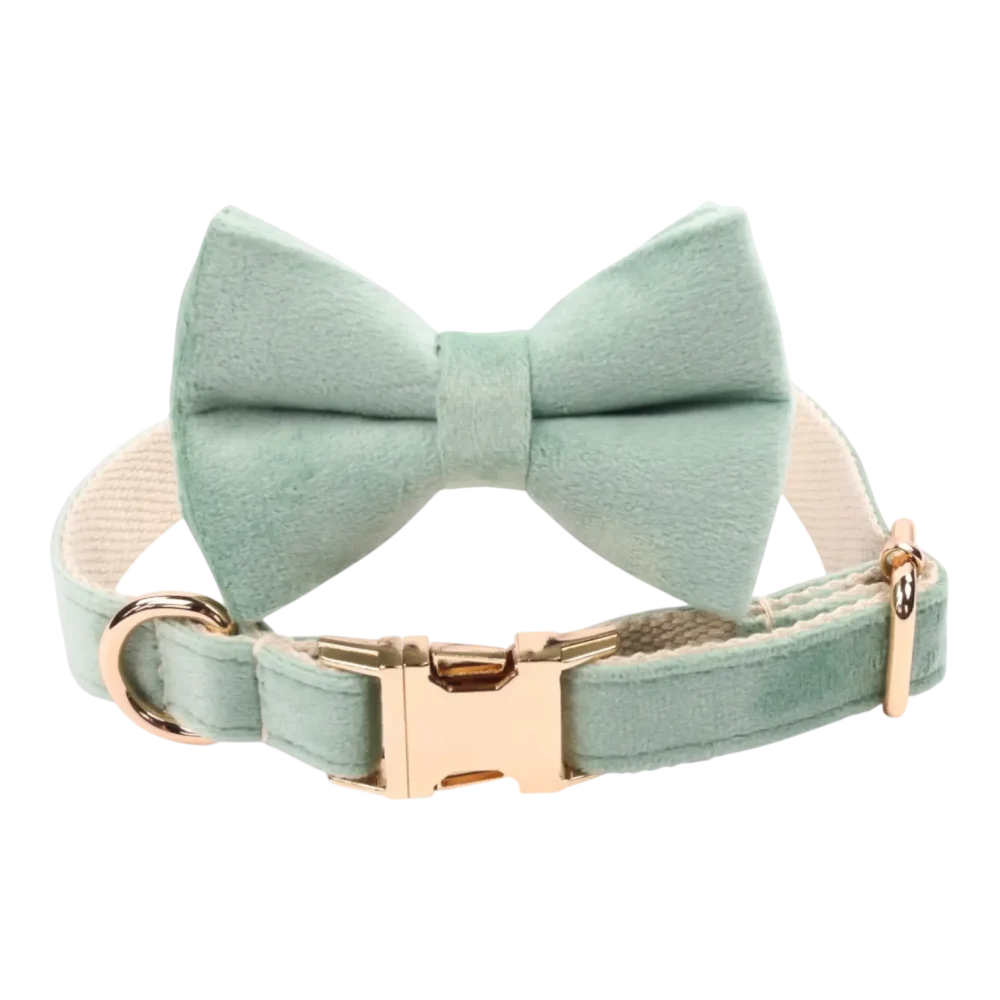 Dog Collar – Velvet – Sage – Bow Tie