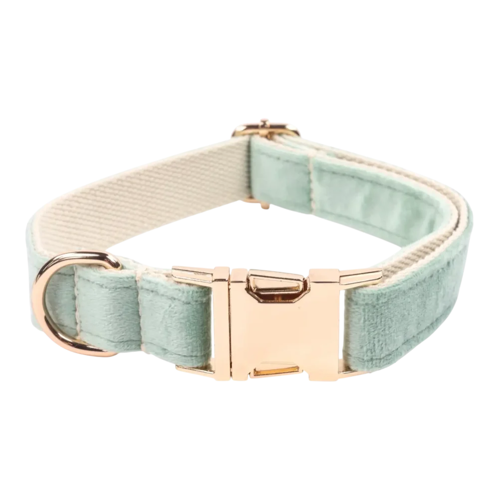 Dog Collar – Velvet – Sage