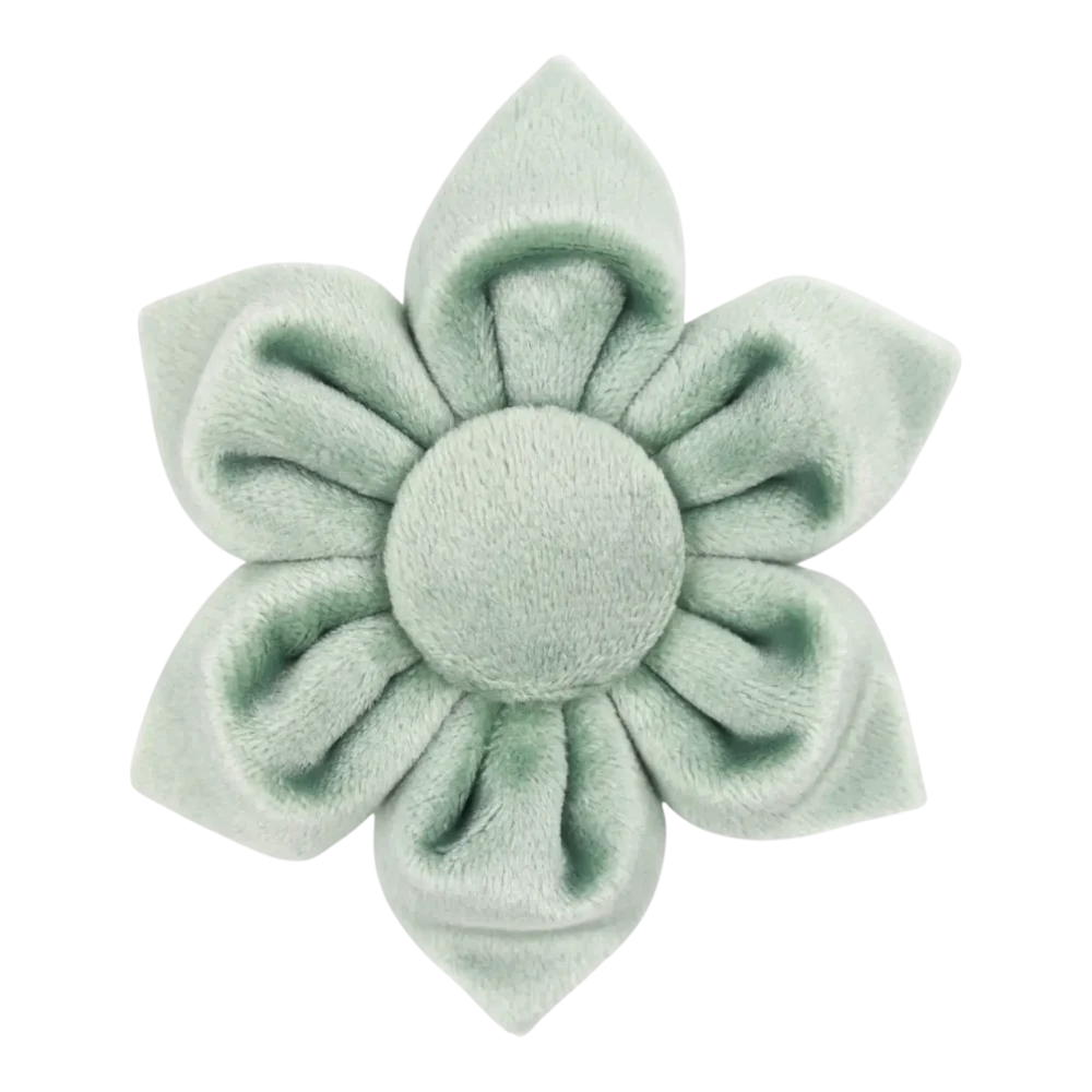 Dog Accessory – Velvet – Flower – Sage