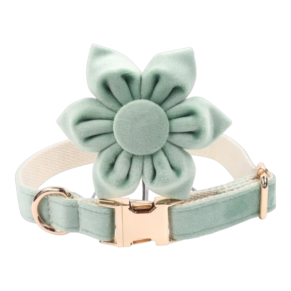 Dog Collar – Velvet – Sage – Flower